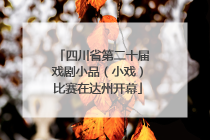 四川省第二十届戏剧小品（小戏）比赛在达州开幕