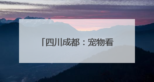 四川成都：宠物看中医体验针灸治疗