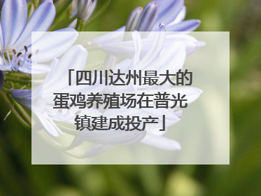 四川达州最大的蛋鸡养殖场在普光镇建成投产