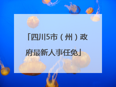 四川5市（州）政府最新人事任免