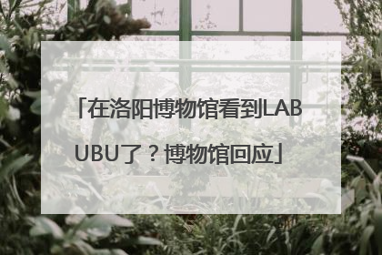 在洛阳博物馆看到LABUBU了？博物馆回应