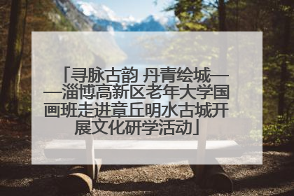 寻脉古韵 丹青绘城——淄博高新区老年大学国画班走进章丘明水古城开展文化研学活动