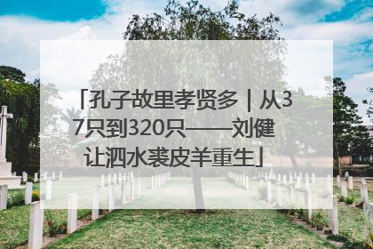 孔子故里孝贤多｜从37只到320只——刘健让泗水裘皮羊重生