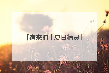 宿来拍丨夏日精灵