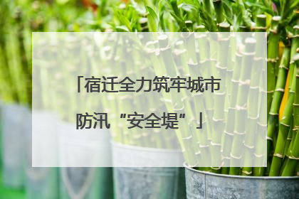 宿迁全力筑牢城市防汛“安全堤”
