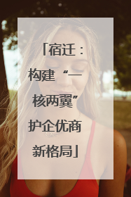 宿迁：构建“一核两翼”护企优商新格局