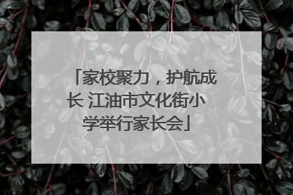 家校聚力，护航成长 江油市文化街小学举行家长会