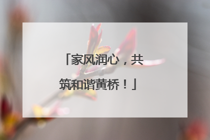 家风润心，共筑和谐黄桥！