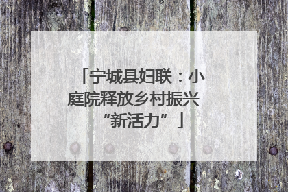 宁城县妇联：小庭院释放乡村振兴“新活力”