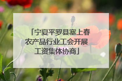 宁夏平罗县塞上春农产品行业工会开展工资集体协商