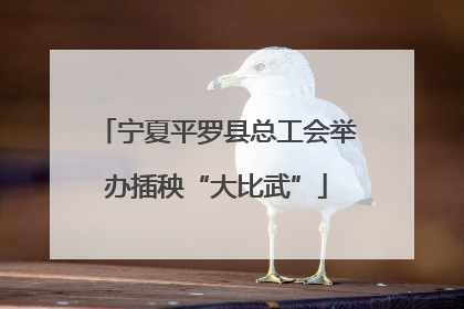 宁夏平罗县总工会举办插秧“大比武”