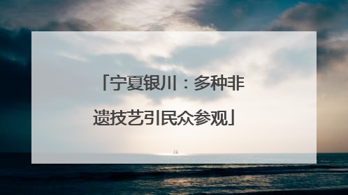 宁夏银川：多种非遗技艺引民众参观