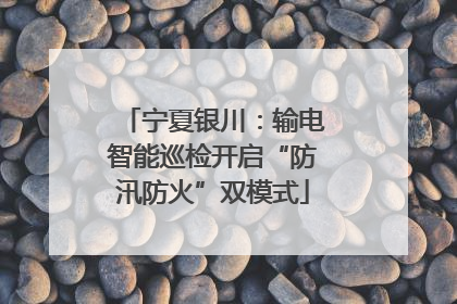 宁夏银川：输电智能巡检开启“防汛防火”双模式