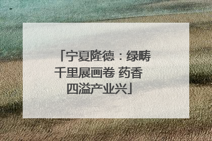 宁夏隆德：绿畴千里展画卷 药香四溢产业兴
