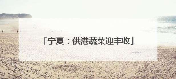 宁夏：供港蔬菜迎丰收