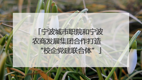 宁波城市职院和宁波农商发展集团合作打造“校企党建联合体”