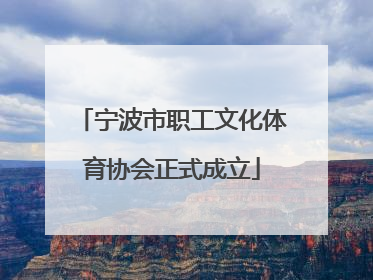 宁波市职工文化体育协会正式成立