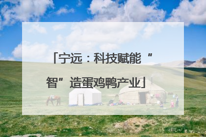 宁远：科技赋能“智”造蛋鸡鸭产业