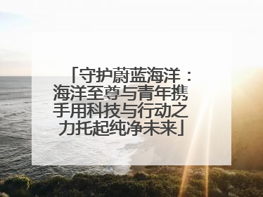 守护蔚蓝海洋：海洋至尊与青年携手用科技与行动之力托起纯净未来