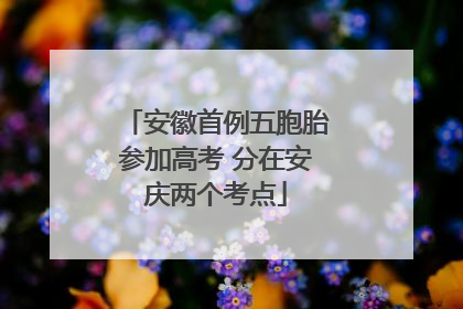 安徽首例五胞胎参加高考 分在安庆两个考点