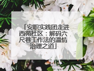 安职实践团走进西苑社区：解码六尺巷工作法的温情治理之道