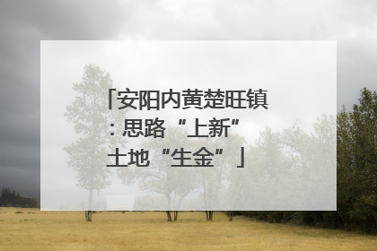 安阳内黄楚旺镇：思路“上新” 土地“生金”