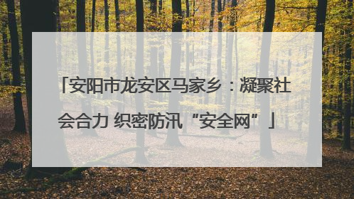 安阳市龙安区马家乡：凝聚社会合力 织密防汛“安全网”