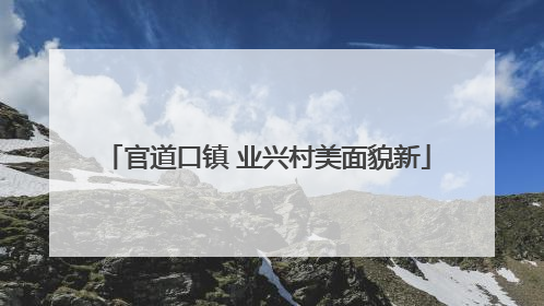 官道口镇 业兴村美面貌新