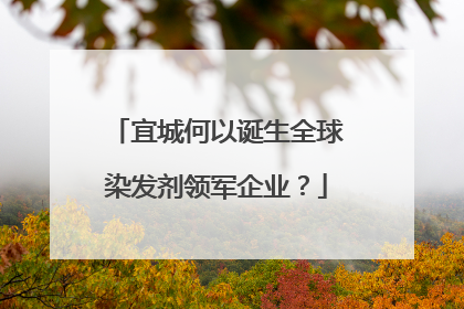 宜城何以诞生全球染发剂领军企业？