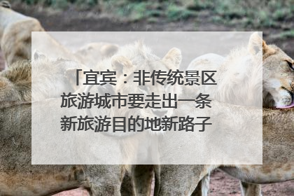 宜宾：非传统景区旅游城市要走出一条新旅游目的地新路子｜话锦绣·说安逸