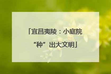 宜昌夷陵：小庭院“种”出大文明