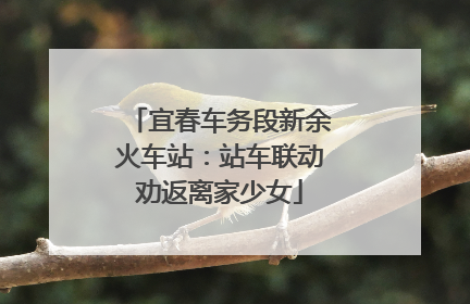宜春车务段新余火车站：站车联动劝返离家少女