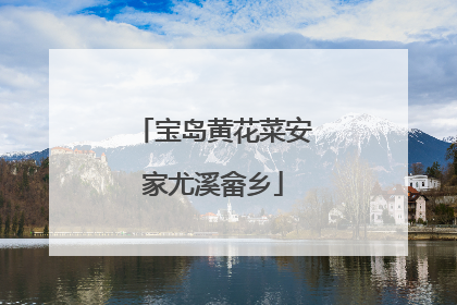 宝岛黄花菜安家尤溪畲乡