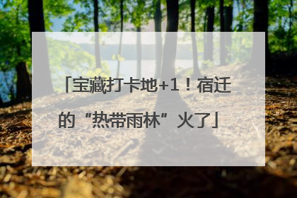 宝藏打卡地+1！宿迁的“热带雨林”火了