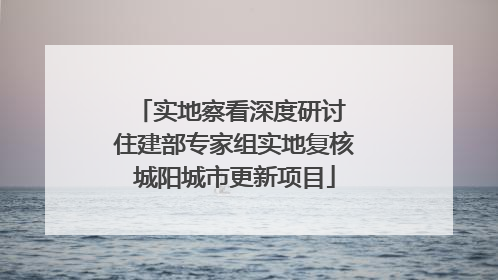 实地察看深度研讨 住建部专家组实地复核城阳城市更新项目