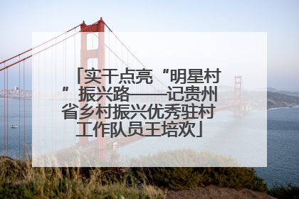 实干点亮“明星村”振兴路——记贵州省乡村振兴优秀驻村工作队员王培欢