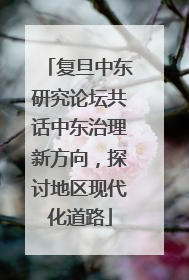 复旦中东研究论坛共话中东治理新方向，探讨地区现代化道路