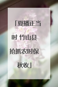 夏播正当时 竹山县抢抓农时保秋收