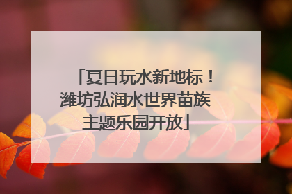 夏日玩水新地标！潍坊弘润水世界苗族主题乐园开放