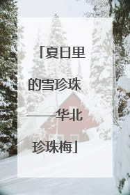 夏日里的雪珍珠——华北珍珠梅