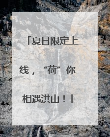 夏日限定上线，“荷”你相遇洪山！