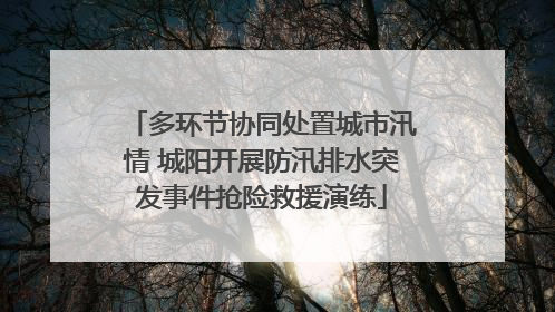 多环节协同处置城市汛情 城阳开展防汛排水突发事件抢险救援演练