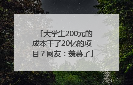 大学生200元的成本干了20亿的项目？网友：羡慕了