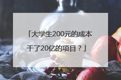 大学生200元的成本干了20亿的项目？