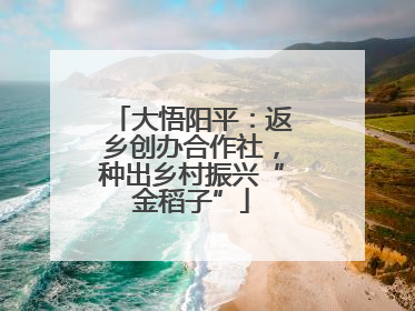 大悟阳平：返乡创办合作社，种出乡村振兴“金稻子”