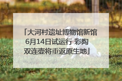 大河村遗址博物馆新馆6月14日试运行 彩陶双连壶将重返原生地