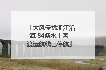 大风侵扰浙江沿海 84条水上客渡运航线已停航