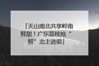 天山南北共享岭南鲜甜！广东荔枝抢“鲜”北上进疆
