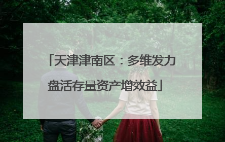 天津津南区：多维发力盘活存量资产增效益