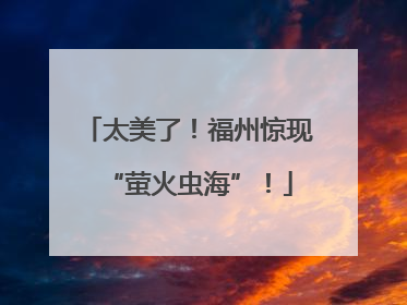 太美了！福州惊现“萤火虫海”！